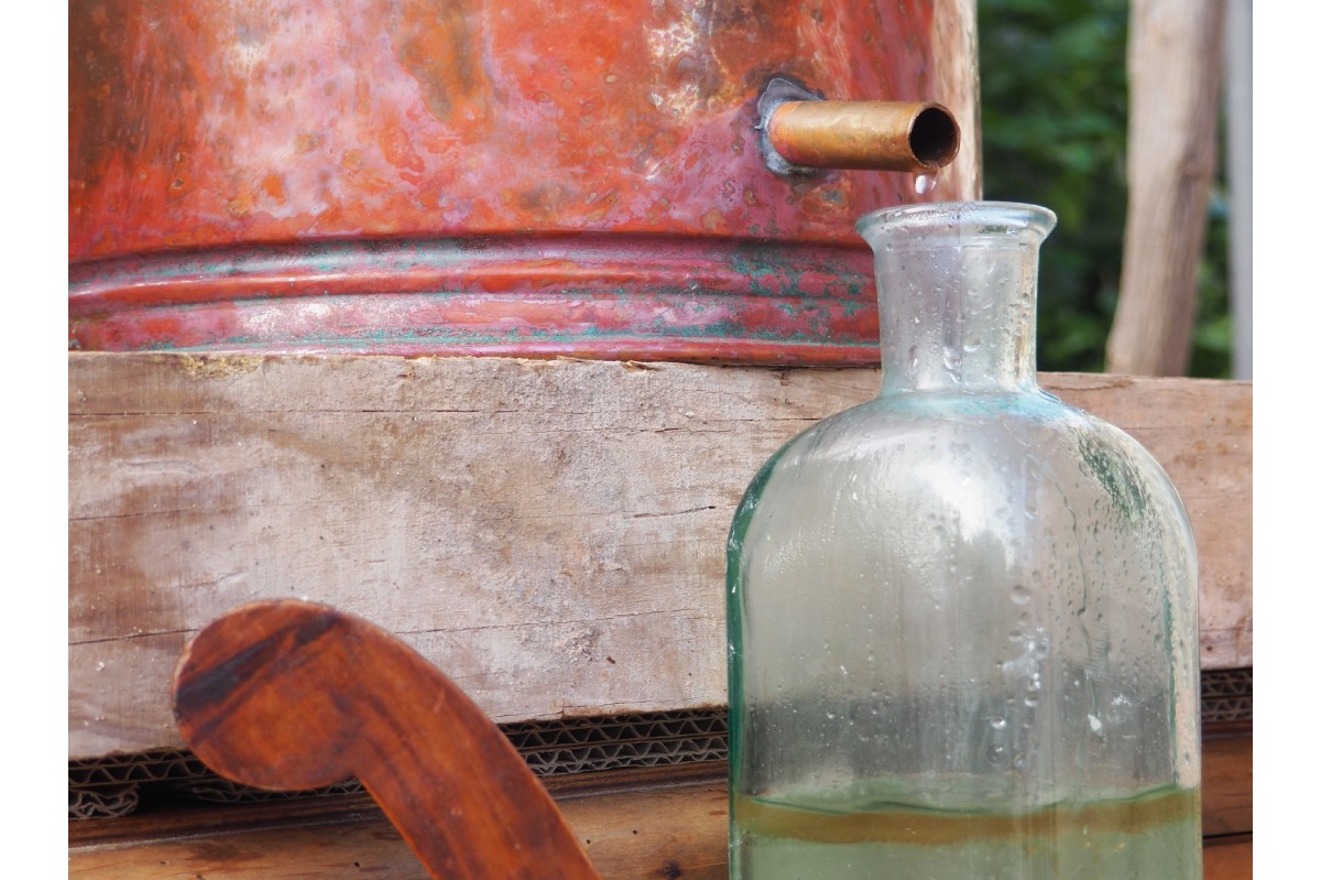 Workshop distillation - Mallorca  Natur