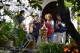 Atelier distillation - Mallorca Natur