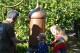 Atelier distillation - Mallorca Natur