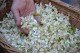 Workshop distillation - Mallorca  Natur