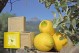 Olive Oil Natural Soap with Lemon - Jabón de Mallorca