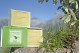 Olive Oil Soap with Pine Tree Essential Oil - Jabón de Mallorca