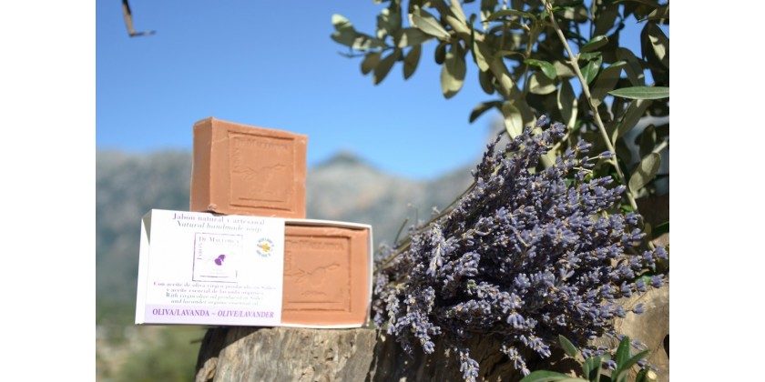 Fabricación del jabón natural oliva/lavanda